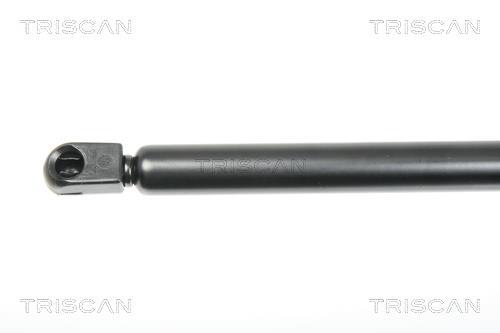 Vérin (Vérin de hayon) Triscan A/S ref. 8710 29282