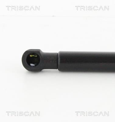 Muelle neumático Triscan A/S 8710 29284