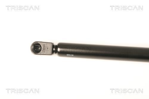 Cilindro Triscan A/S ref. 8710 29287
