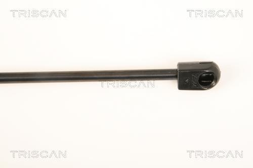 Cilindro Triscan A/S ref. 8710 29287