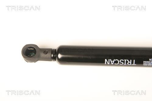 Vérin (Vérin de hayon) Triscan A/S ref. 8710 29288