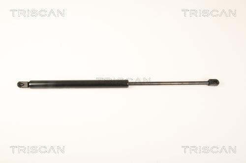 Vérin (Vérin de hayon) Triscan A/S 8710 29289