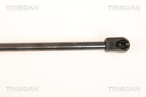 Vérin (Vérin de hayon) Triscan A/S 8710 29289
