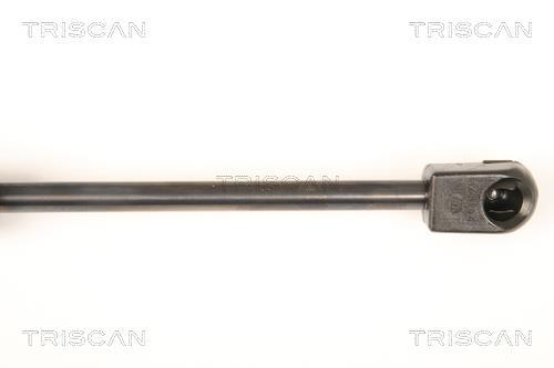 Vérin (Vérin de hayon) Triscan A/S 8710 29290
