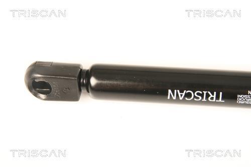 Vérin (Vérin de hayon) Triscan A/S 8710 29291