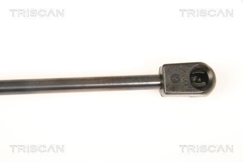 Vérin (Vérin de hayon) Triscan A/S 8710 29291