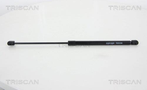 Vérin (Vérin de hayon) Triscan A/S 8710 29294