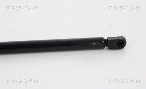 Vérin (Vérin de hayon) Triscan A/S 8710 29294
