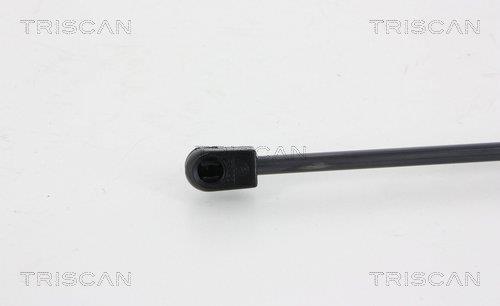 Vérin (Vérin de hayon) Triscan A/S 8710 29294