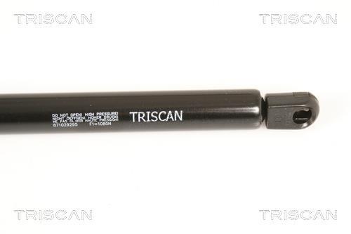Muelle neumático Triscan A/S ref. 8710 29295