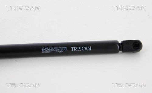 Vérin (Vérin de hayon) Triscan A/S ref. 8710 29297