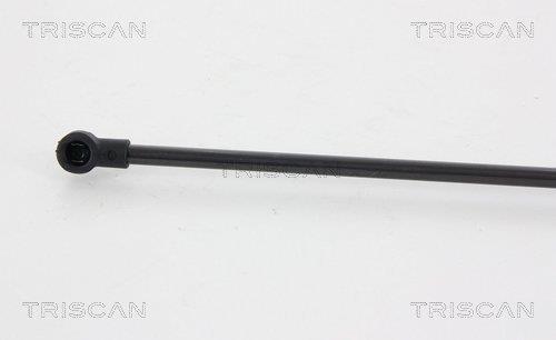 Vérin (Vérin de hayon) Triscan A/S ref. 8710 29297