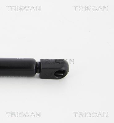 Vérin (Vérin de hayon) Triscan A/S 8710 29298