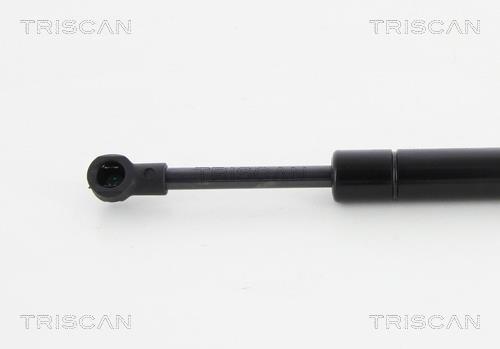 Vérin (Vérin de hayon) Triscan A/S 8710 29298