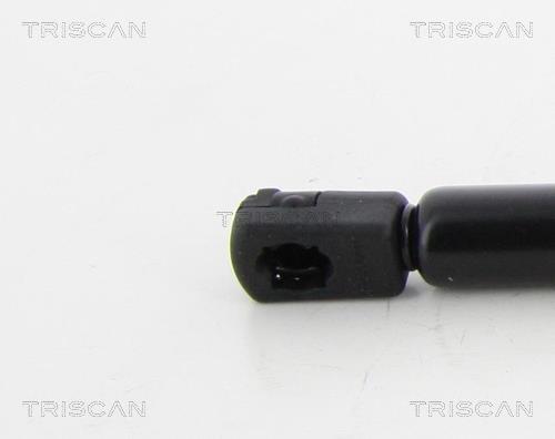 Vérin (Vérin de hayon) Triscan A/S 8710 29299