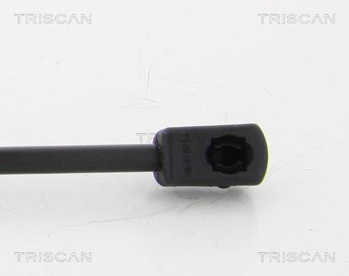 Vérin (Vérin de hayon) Triscan A/S 8710 29299