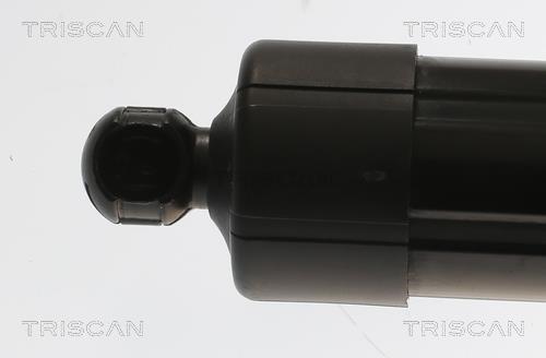 Vérin (Vérin de hayon) Triscan A/S 8710 29301