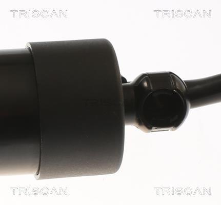 Vérin (Vérin de hayon) Triscan A/S 8710 29301