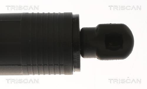Muelle neumático Triscan A/S ref. 8710 29302