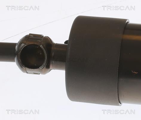 Vérin (Vérin de hayon) Triscan A/S 8710 29303