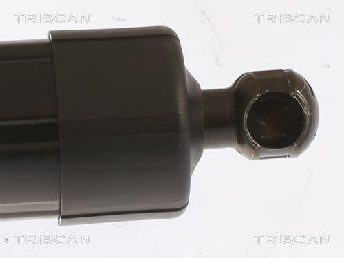 Vérin (Vérin de hayon) Triscan A/S 8710 29303