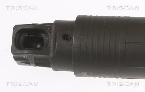 Vérin (Vérin de hayon) Triscan A/S ref. 8710 29304