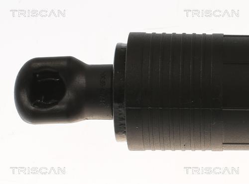 Cilindro Triscan A/S 8710 29305