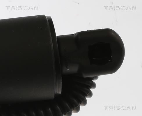 Cilindro Triscan A/S 8710 29305