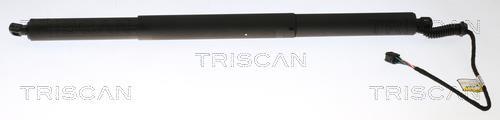Vérin (Vérin de hayon) Triscan A/S 8710 29306