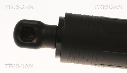 Vérin (Vérin de hayon) Triscan A/S 8710 29306