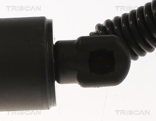 Vérin (Vérin de hayon) Triscan A/S 8710 29306