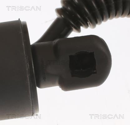 Vérin (Vérin de hayon) Triscan A/S 8710 29306