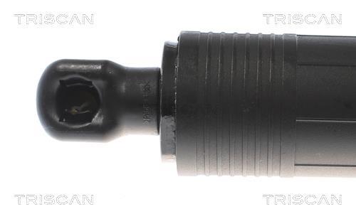 Muelle neumático, maletero/compartimento de carga Triscan A/S ref. 8710 29309