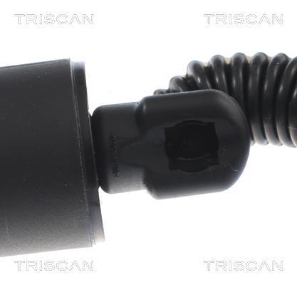 Muelle neumático, maletero/compartimento de carga Triscan A/S ref. 8710 29309