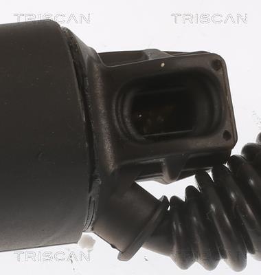 Muelle neumático, maletero/compartimento de carga Triscan A/S ref. 8710 29311