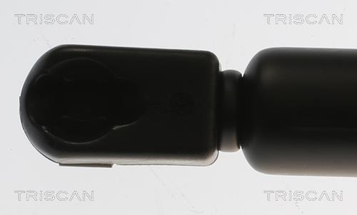 Muelle neumático, maletero/compartimento de carga Triscan A/S ref. 8710 29315
