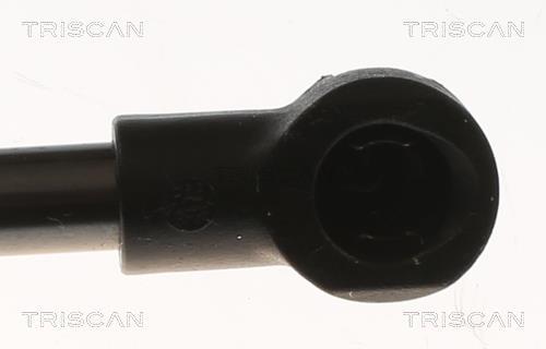 Muelle neumático, maletero/compartimento de carga Triscan A/S ref. 8710 29315