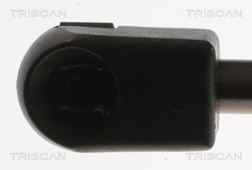 Muelle neumático, maletero/compartimento de carga Triscan A/S ref. 8710 29316