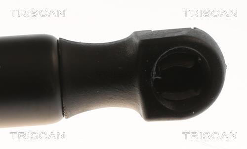 Muelle neumático, maletero/compartimento de carga Triscan A/S ref. 8710 29316