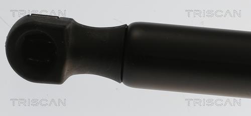 Muelle neumático, maletero/compartimento de carga Triscan A/S ref. 8710 29317