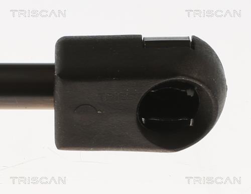 Muelle neumático, maletero/compartimento de carga Triscan A/S ref. 8710 29317