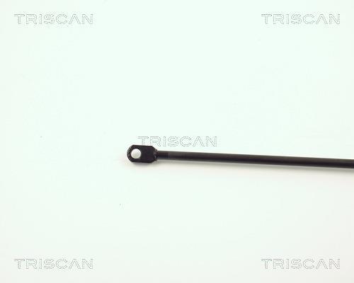 Vérin (Vérin de hayon) Triscan A/S ref. 8710 3801