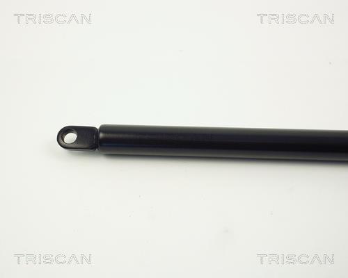 Vérin (Vérin de hayon) Triscan A/S ref. 8710 3806