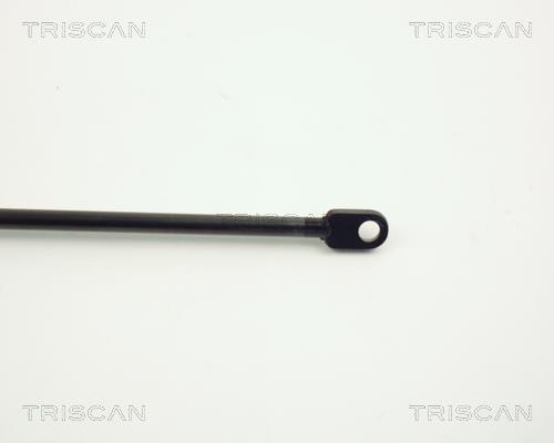 Vérin (Vérin de hayon) Triscan A/S ref. 8710 3806