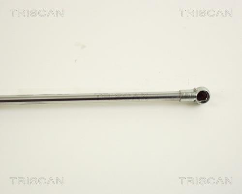 Vérin (Vérin de hayon) Triscan A/S 8710 38102