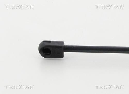 Vérin (Vérin de hayon) Triscan A/S 8710 38106