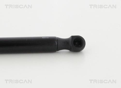 Vérin (Vérin de hayon) Triscan A/S 8710 38106