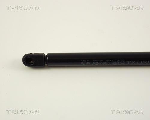 Vérin (Vérin de hayon) Triscan A/S 8710 38202