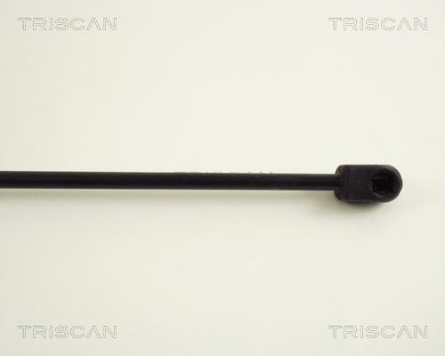 Vérin (Vérin de hayon) Triscan A/S 8710 38202