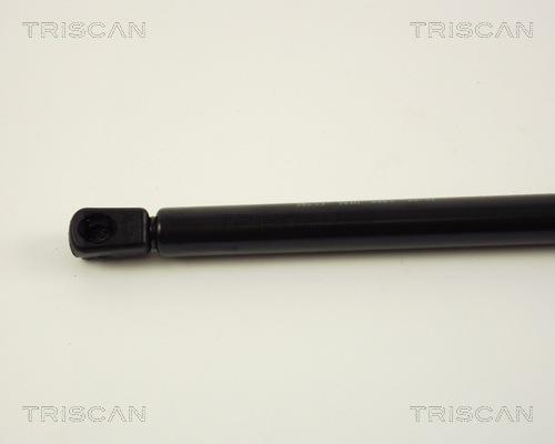 Vérin (Vérin de hayon) Triscan A/S 8710 38203